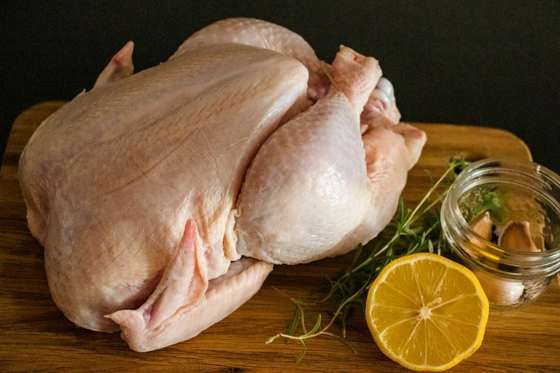 Poultry category concept image