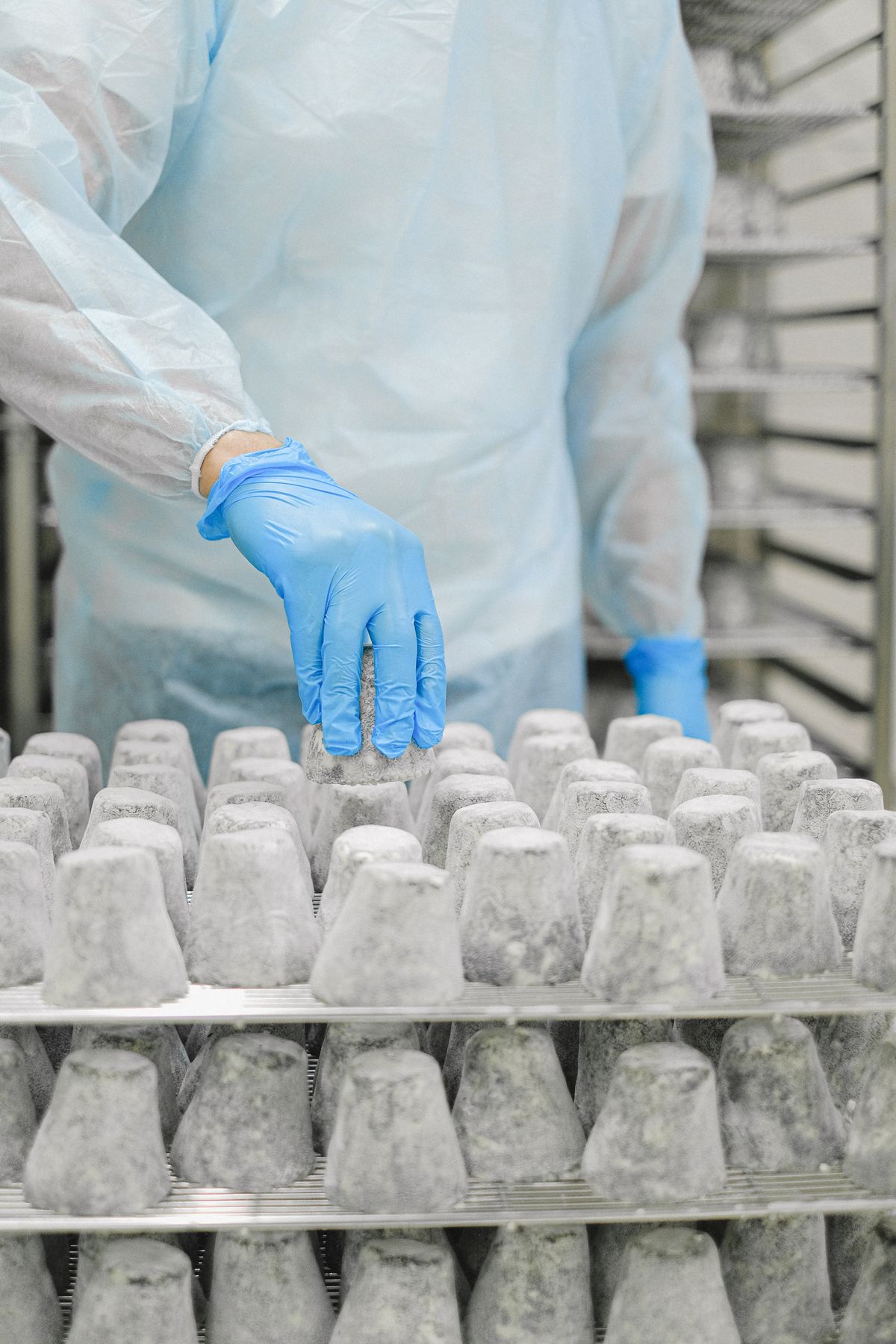 Foodservice scene for equipment health